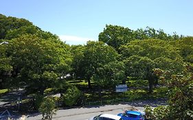 Modern 1 Bedroom Apartment Across From Hagley Park